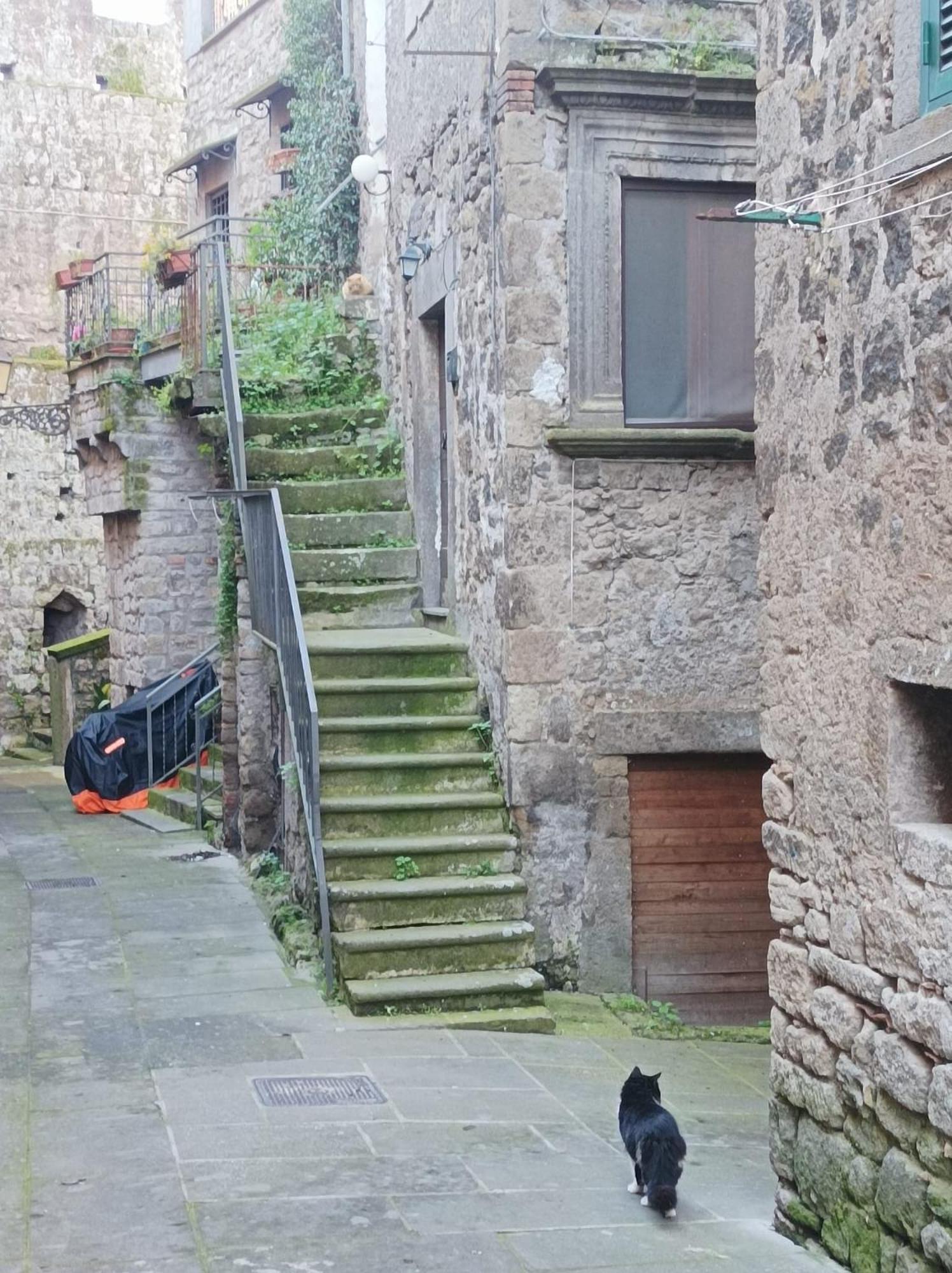 Sospesi Nel Borgo วิตอร์คิอาโน ภายนอก รูปภาพ